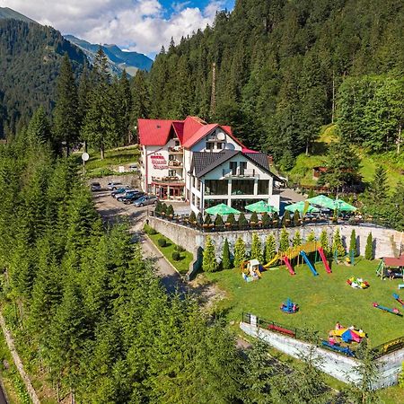 Piscul Negru Hotel - Transfagarasan Cumpana  Екстер'єр фото