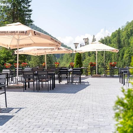 Piscul Negru Hotel - Transfagarasan Cumpana  Екстер'єр фото