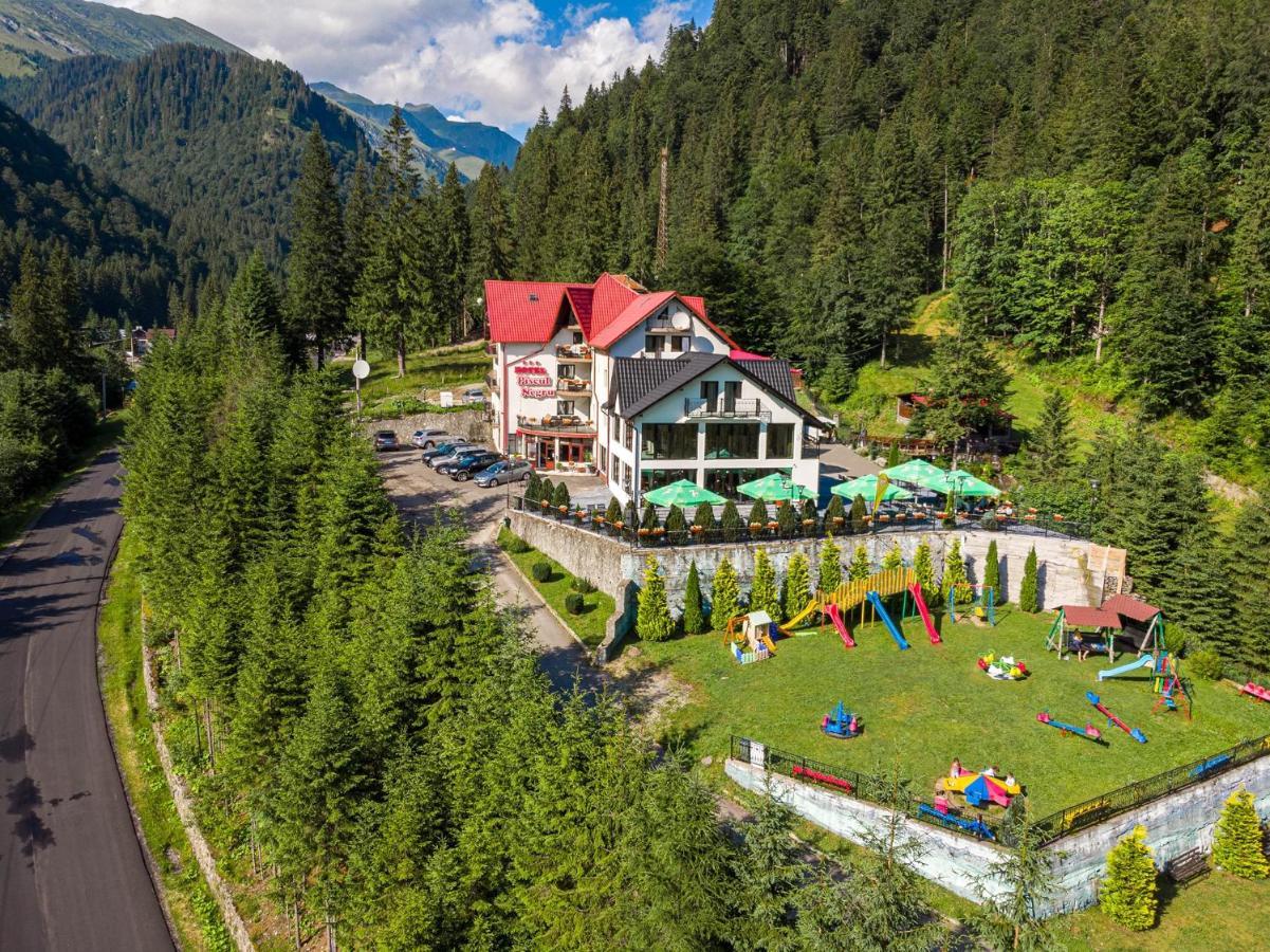 Piscul Negru Hotel - Transfagarasan Cumpana  Екстер'єр фото